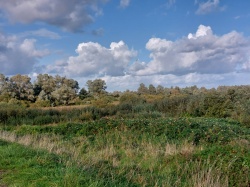 De Natuur