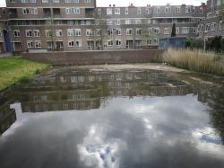 het meertje richting boerderij brinkie