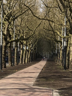 Het pad naar de volgende buurt