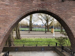 Plantsoen aan het Olympiaplein